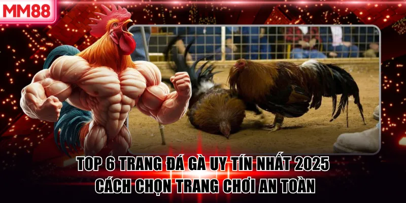 Top 6 Trang Đá Gà Uy Tín Nhất 2025 – Cách Chọn Trang Chơi An Toàn